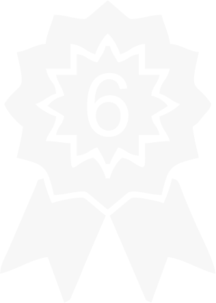 6 ani de experiență